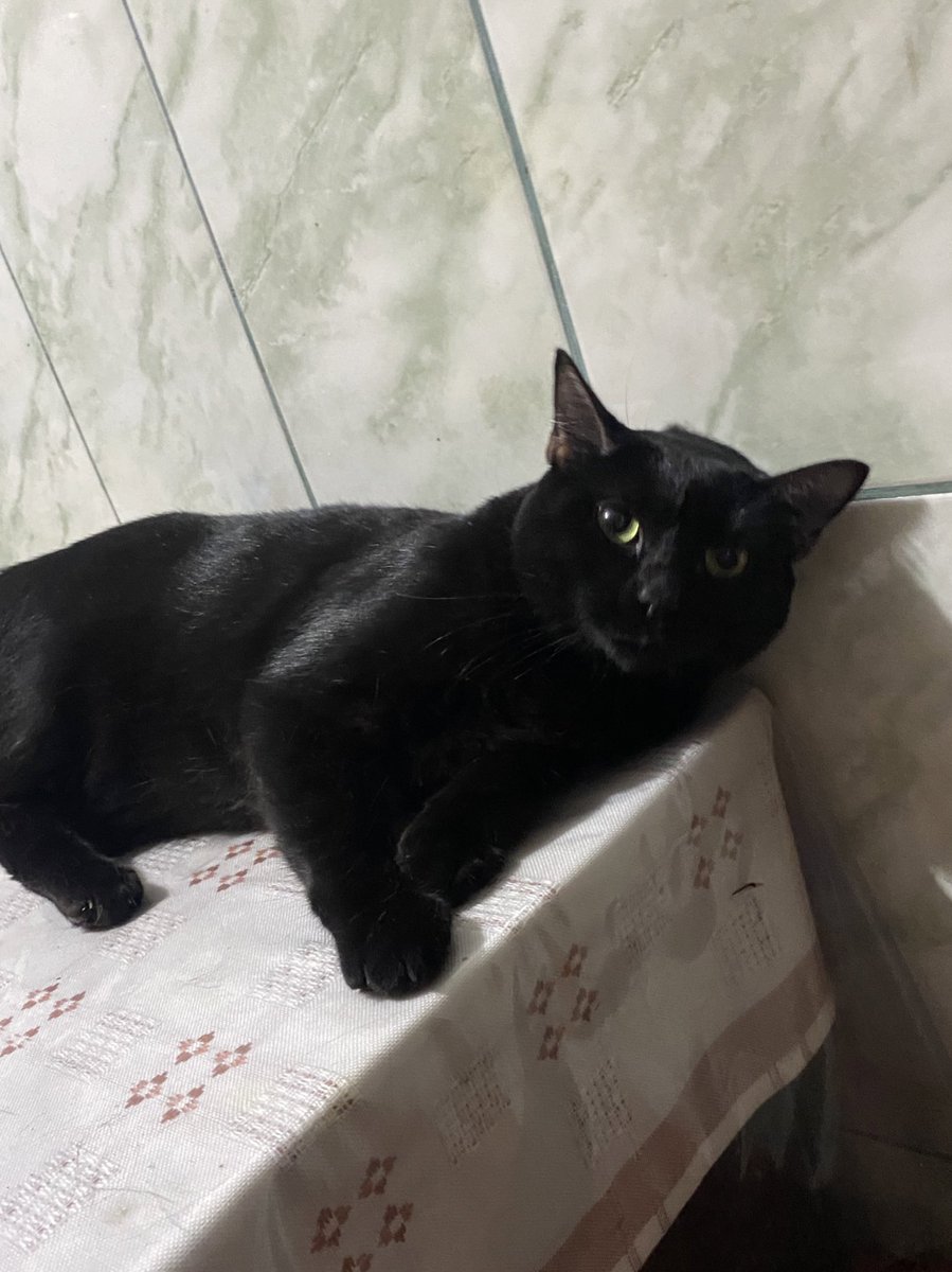 Pon una foto random o 2024 será un año de mierda 🫶🏻