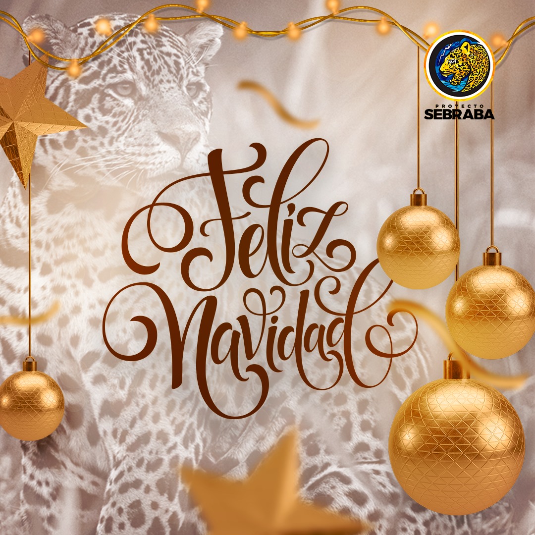 De parte de todo el equipo de Proyecto Sebraba queremos desearle una hermosa navidad 🤗

Felices fiestas y nuestros mejores deseos ❤️