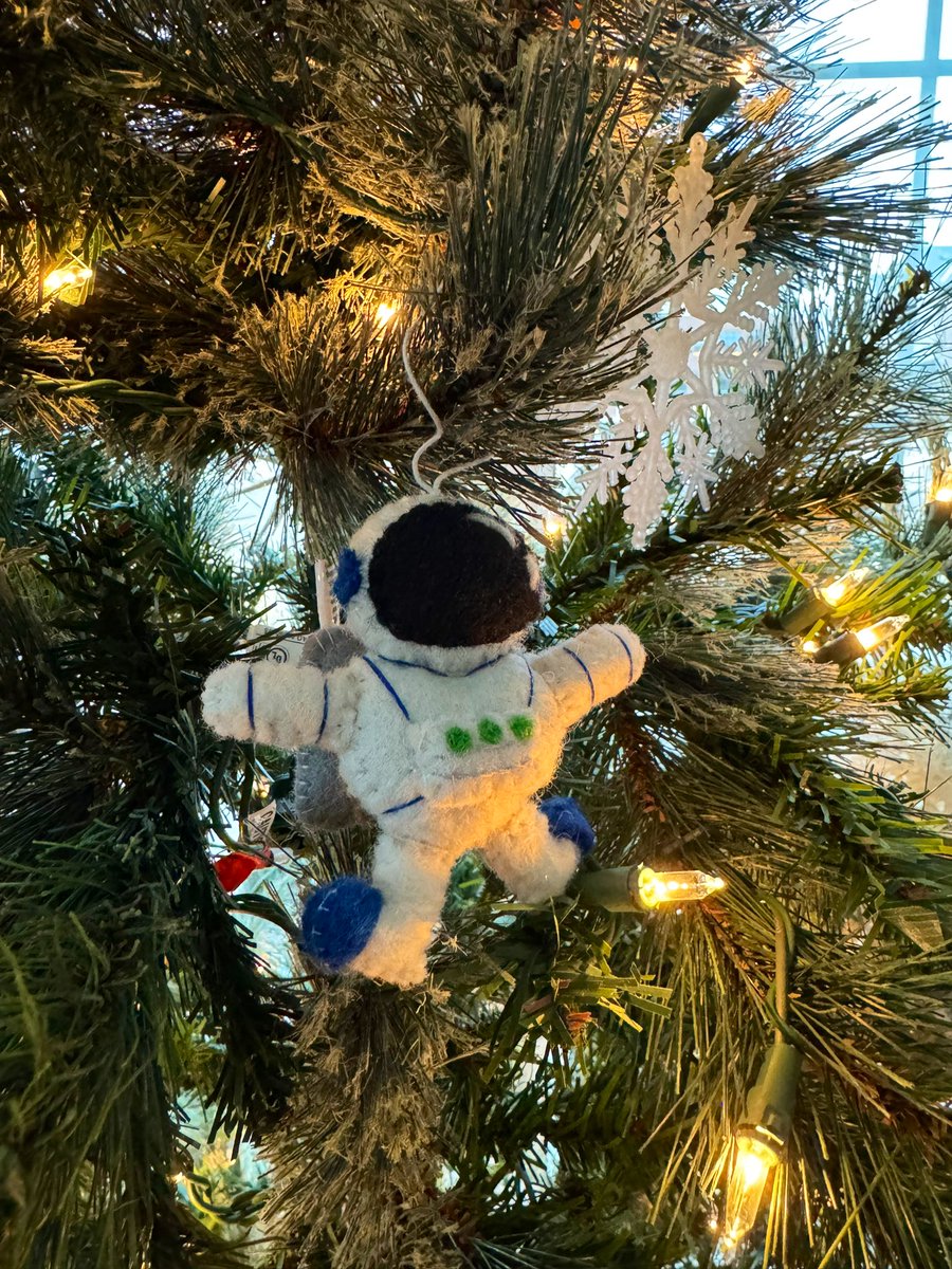codyfscott's tweet photo. The perfect Christmas ornament doesn’t ex— https://t.co/3JPR46UOKS