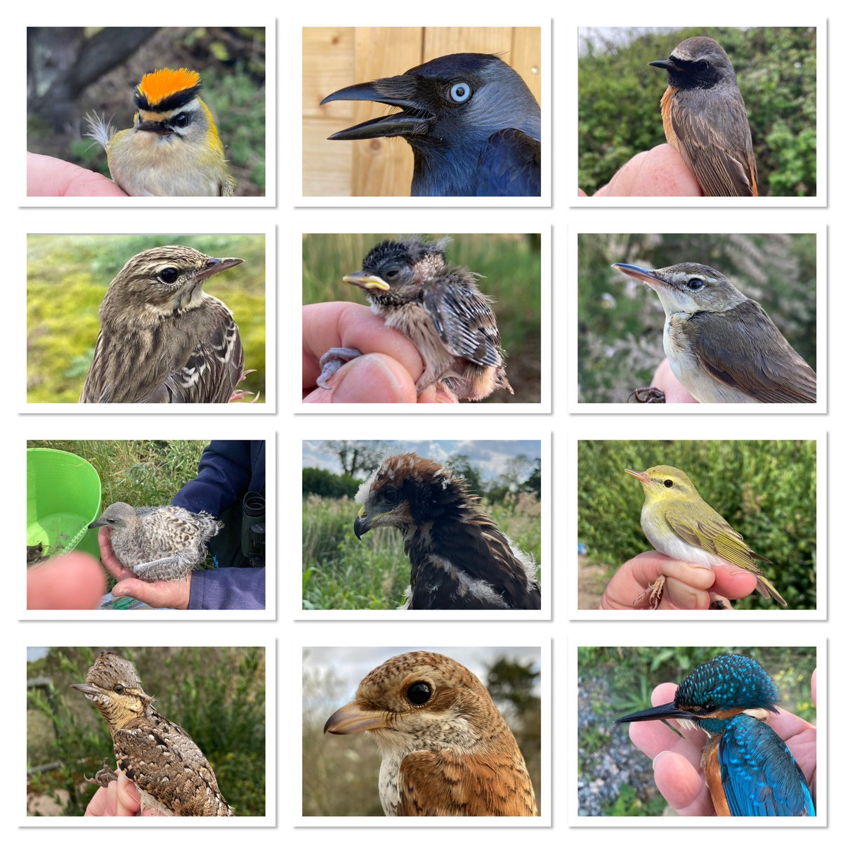 DenyerPeter's tweet photo. It’s been a productive and educational year at the obs. Hopefully 2024 brings the same, if not better (though it is Landguard, so I’ll settle for ‘same’ 😂)

Merry Xmas all. https://t.co/HHCfKDWwUP