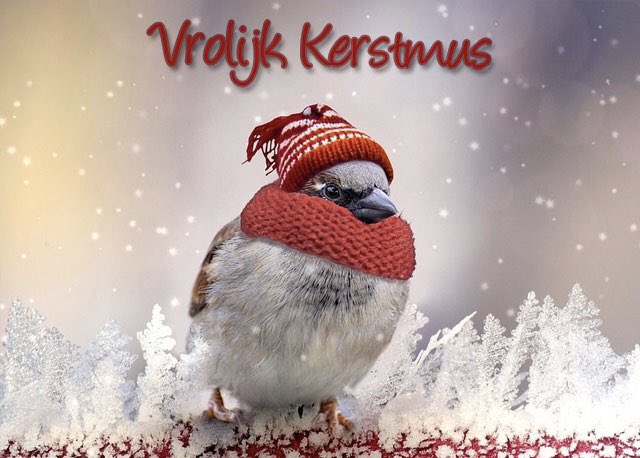 PromusWebdesign's tweet image. Fijne feestdagen!