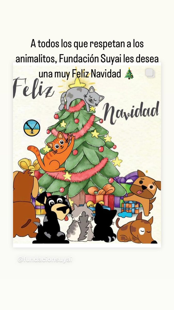 Fundacion_Suyai's tweet photo. A todos los que respetan los animalitos, protegen, cuidan y aman, Fundación Suyai les desea una Muy Feliz Navidad 🎄 
¡Agradecemos el apoyo y cariño! 🐾 https://t.co/Fd4ocxrbBi