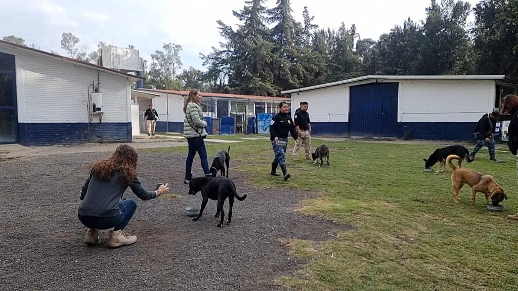 rbksokol's tweet photo. Hoy en la #BrigadaDeVigilanciaAnimal nuestros perritos y gatitos tuvieron su comida especial 🍗🍖 !!!
Gracias a todos los padrin@s y gracias al compromiso de nuestros 👮👮🏻♀️
Lo mejor es pasar una fecha con tanto amor que dan estos 🐶🐱
#Navidad2023 #NavidadPerruna https://t.co/JgVygqE6J6