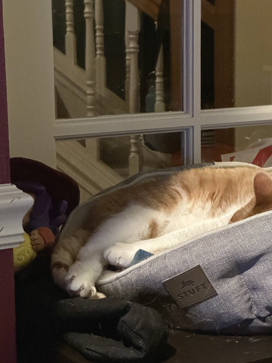 cupdates69's tweet image. 