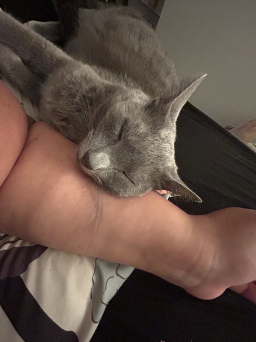 She has been so clingy lately https://t.co/TuHunoruxj