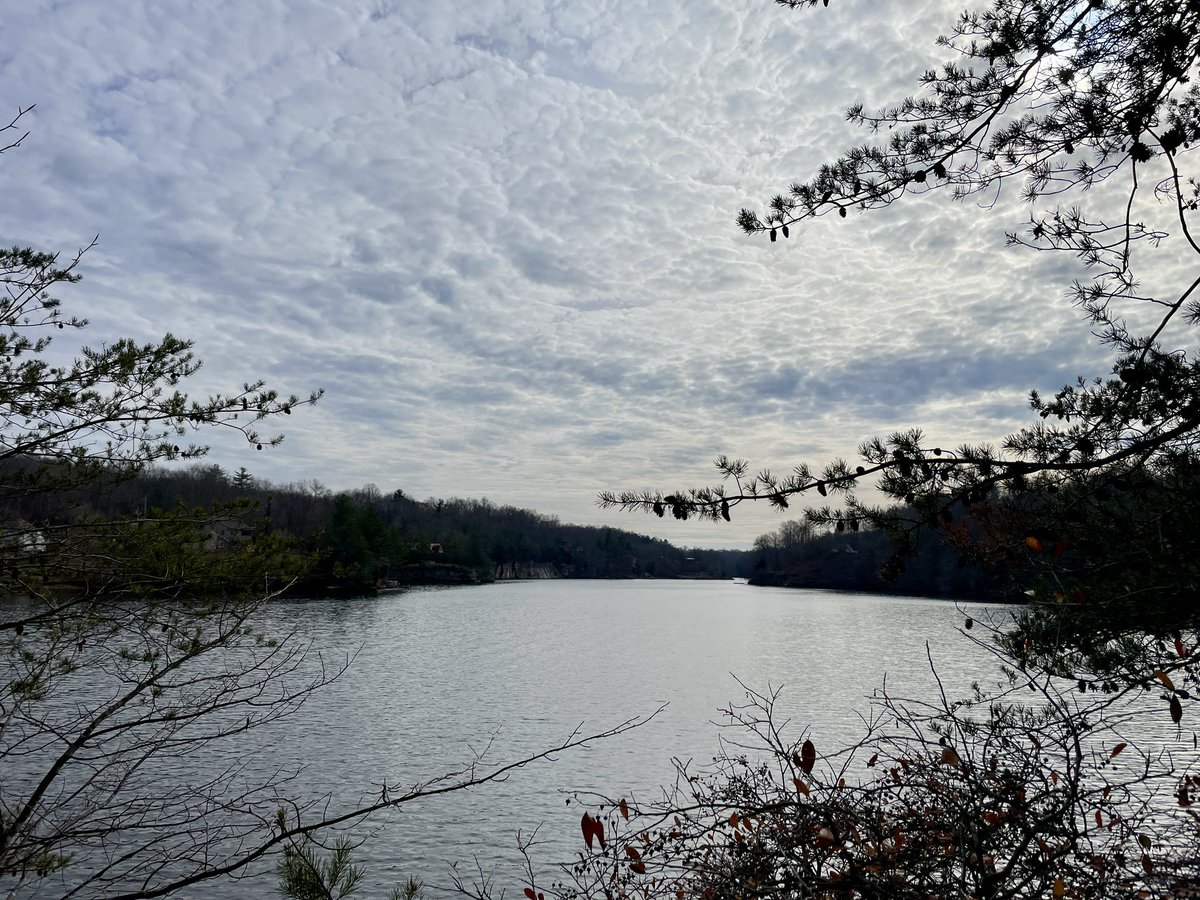 The Eric tweet media