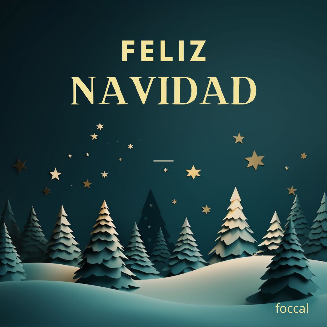 Feliz Navidad 🎄✨