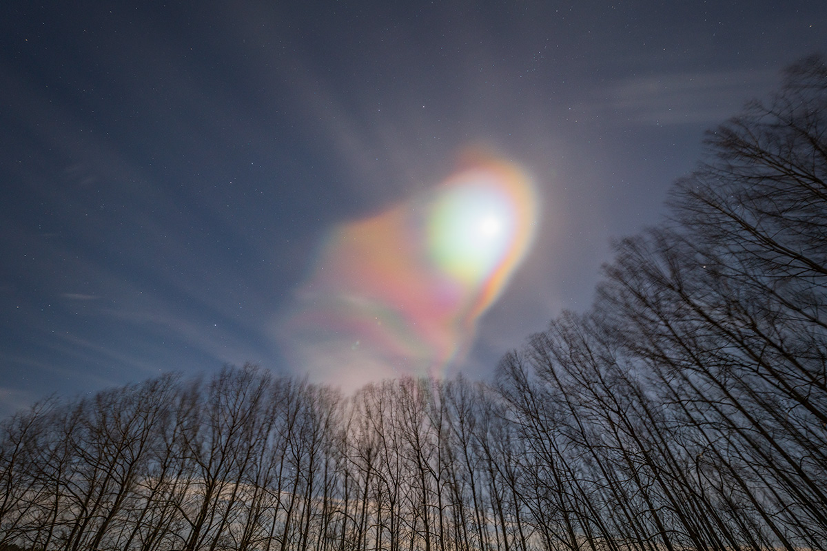 TrisCampbell's tweet photo. Nacreous clouds illuminated by the #Moon in the Crimple Valley #Harrogate this evening. #Nacreousclouds #Astronomy 
More at: https://t.co/lo5QOQw3HS https://t.co/hhvKhEfcQ8