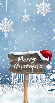 Grigör Suvari 🫀 tweet media