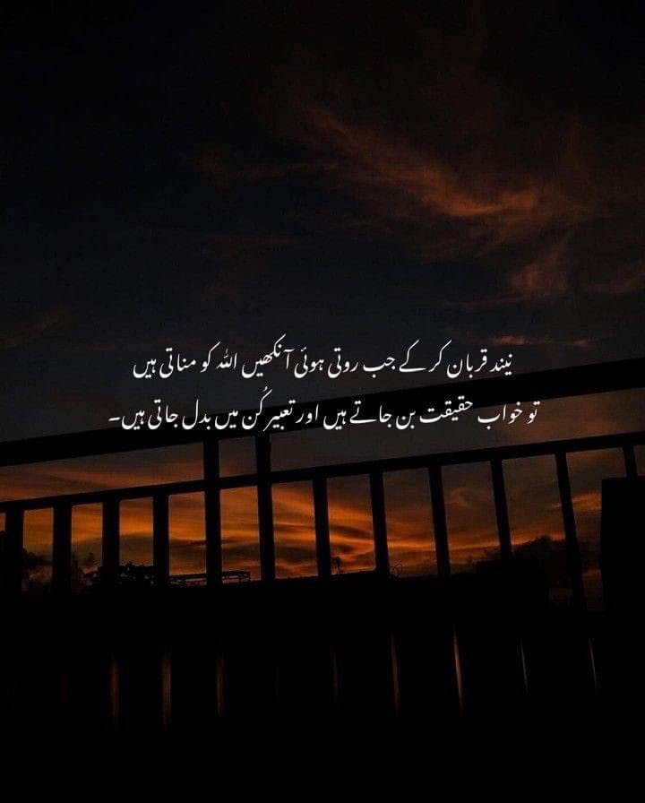 FaizeeFizz's tweet image. 