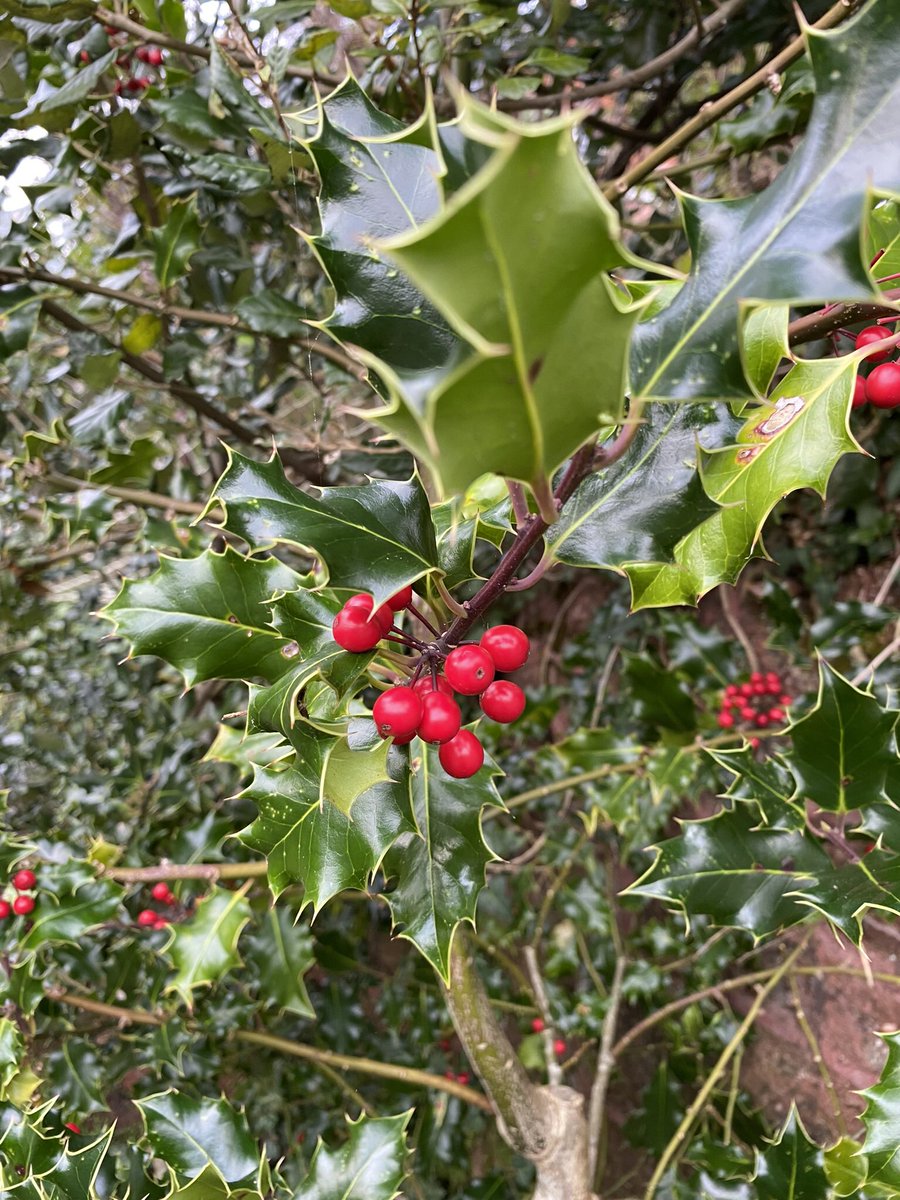 Mind Health Movement tweet media