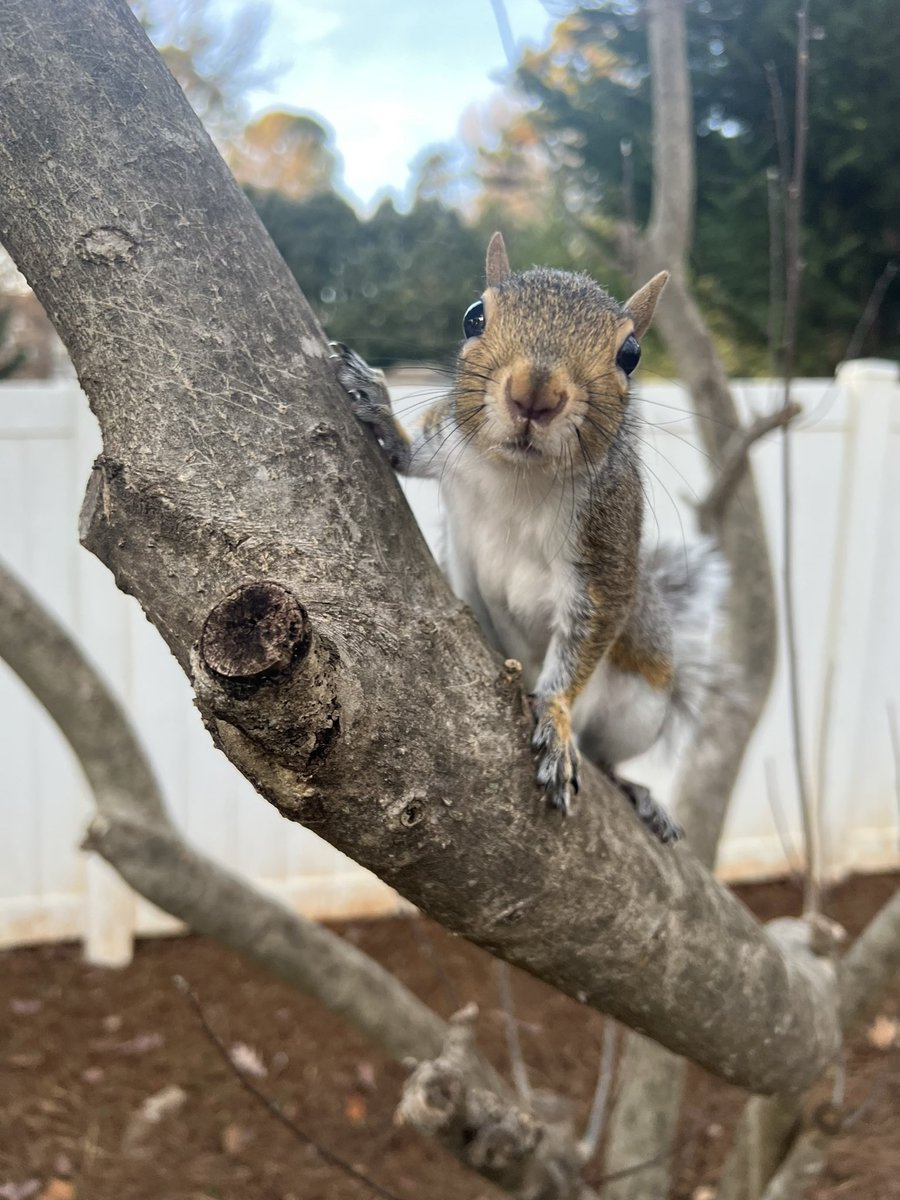 liu uzi chang (@liuuzichang) on Twitter photo 