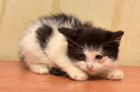 ←昨日までの12月フィギュアラッシュを受けていたボク
→今日給料+ボーナスの総額を確認した今のボク 