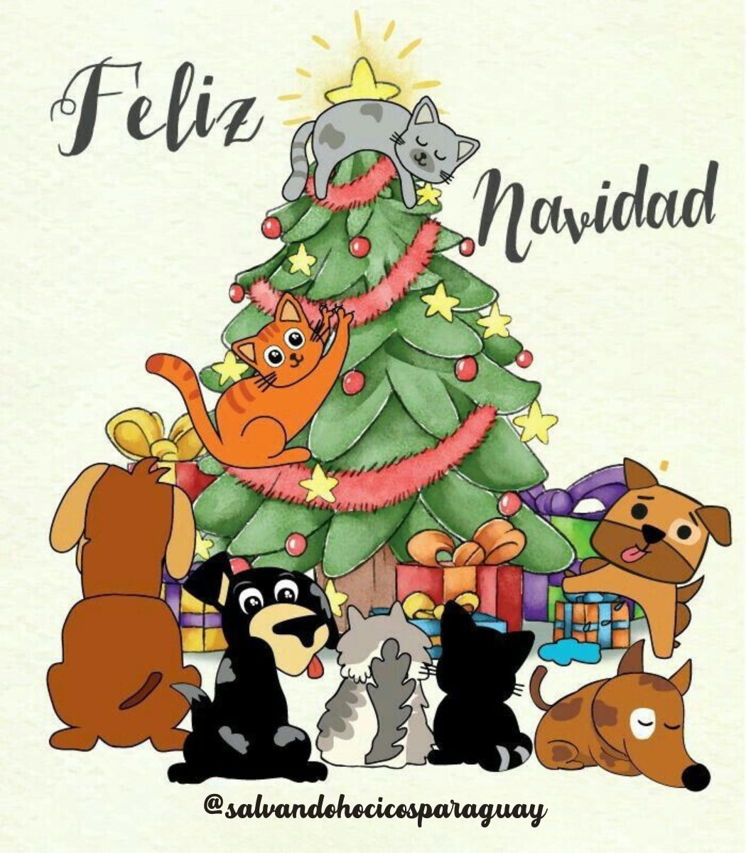 Salvando Hocicos Paraguay tweet media