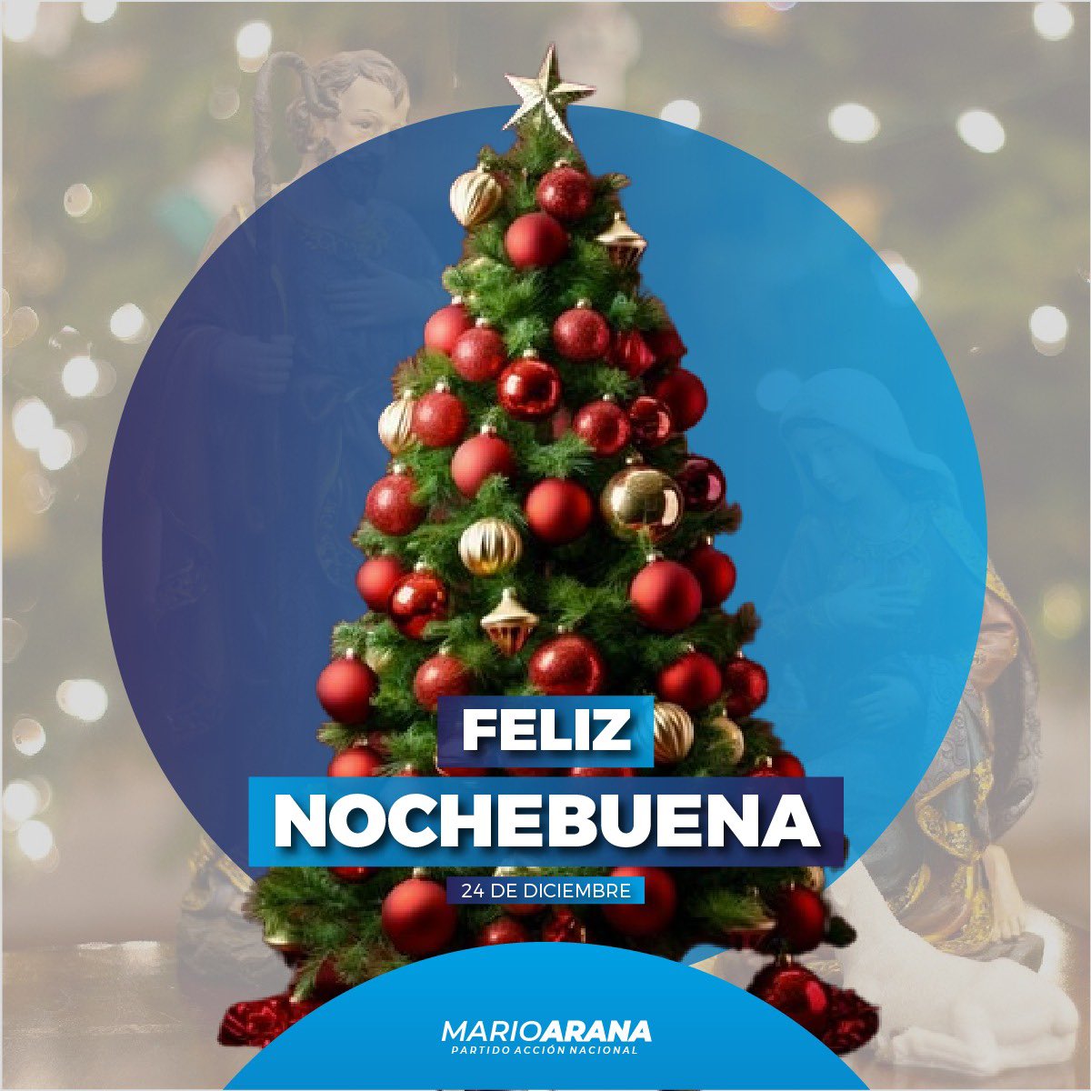 Que en esta Navidad el mejor regalo que recibas sea estar junto a tus seres queridos compartiendo paz, esperanza y alegría. ¡Feliz #Navidad! 🪅🎄🇲🇽‼️‼️‼️