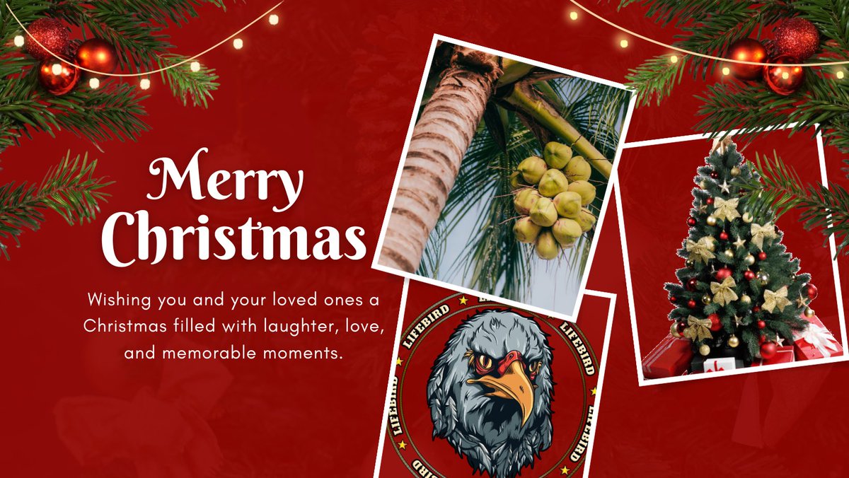 #MerryChristmas2023 #LIFEBIRD