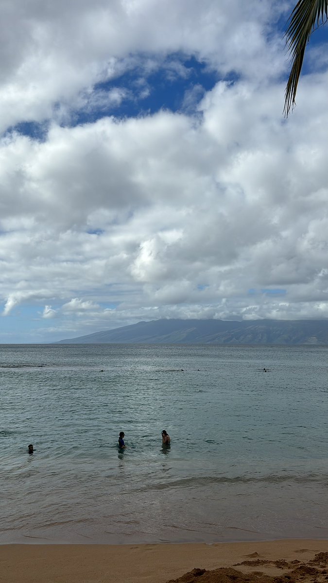 StoolSMU's tweet image. FSU fans who think I give a shit. Enjoy poverty. Imma just take a nap adios.