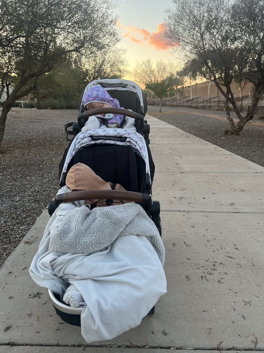 Merry Christmas Eve
Don’t worry, I checked, they’re breathing!