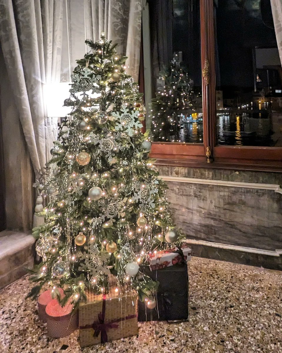 LJ_Pritchard's tweet photo. #ChristmasTrees2023 A Few favourites. #PiazzaSanMarco #ViaGaribaldi @aman_venice #WithFriends #Venezia #Venice #LivingOnWater #MerryChristmas https://t.co/De2B1lQLeM