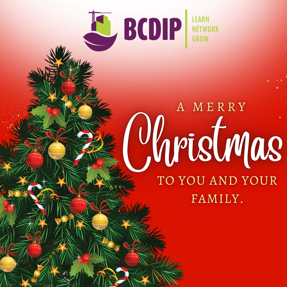 We wish you many good tidings and joy for the season. May the spirit of Christmas fill your homes with joy and your hearts with love and peace. A very Merry Christmas to you, your families and loved ones from us at BCDIP.