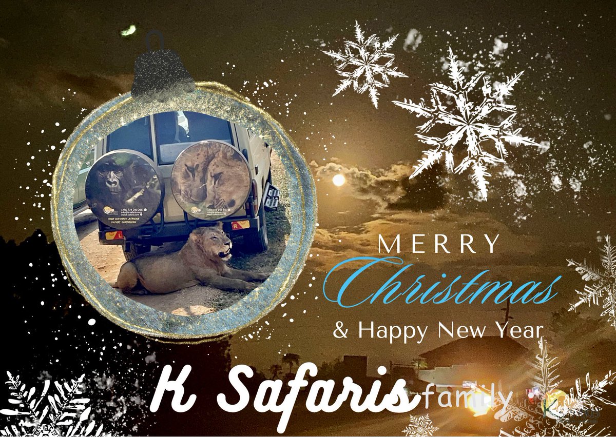 To our #travelers who have made us priority, given us opportunity to share travel stories 

We wish you a merry Christmas and happy Nee year

We pledge a good year or more service 2024 
.
.
.
.
#travel, #gorillatrekking, #Naturephotography, #travelphotography, #wildlife,