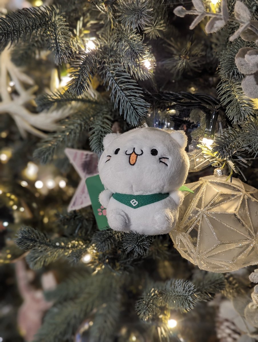 ponta881's tweet photo. 馴染んでるにゃ！
#bellunyamerrychristmaschallenge100 #bmcc100 https://t.co/zNUWak71rI