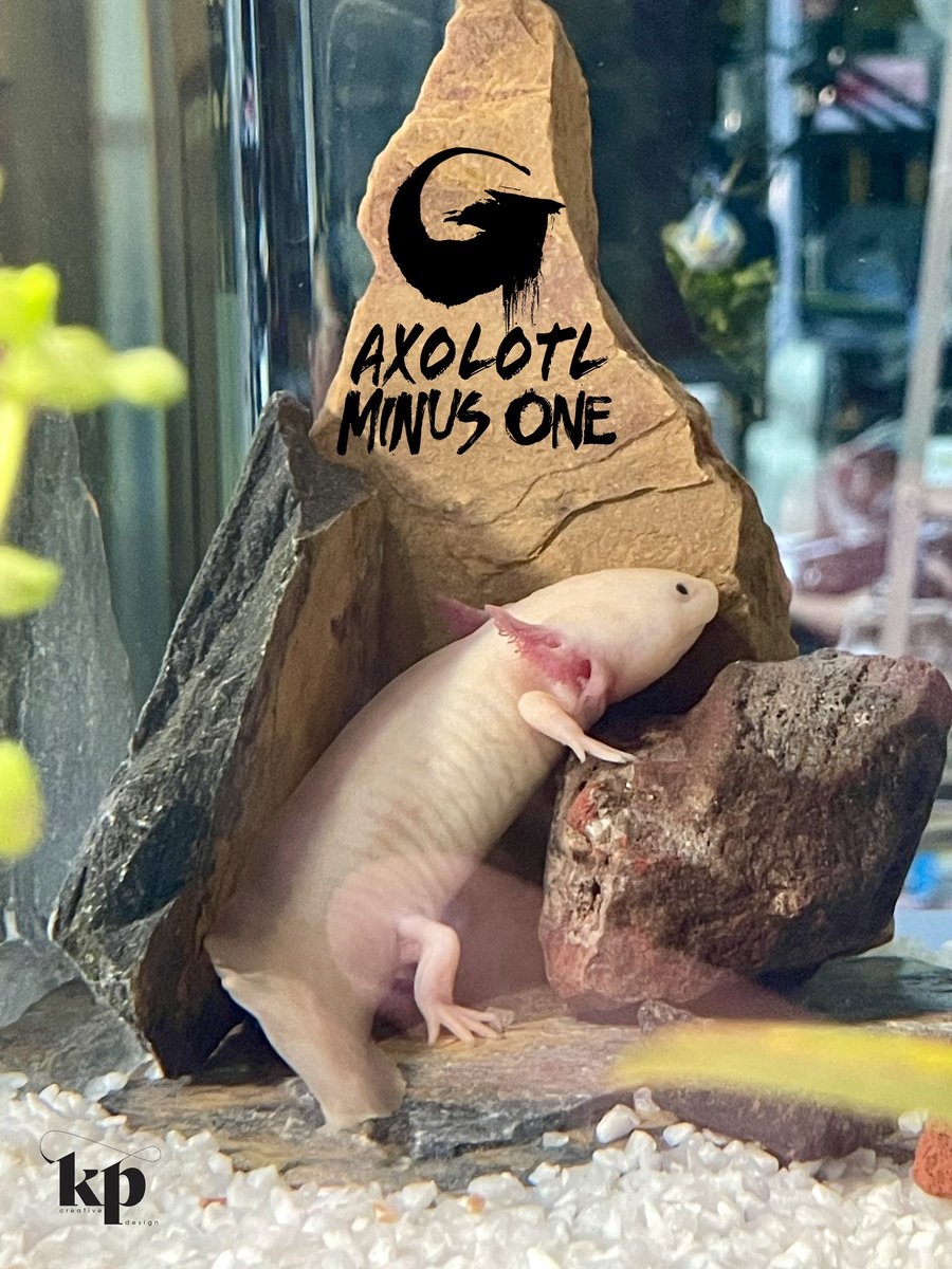 Axolotl Minus One…
Merry Christmas to you all 🎄
