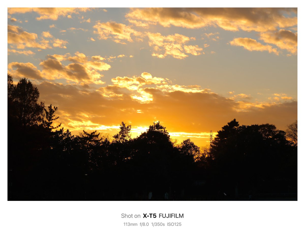 納得のいく写真が撮れた日