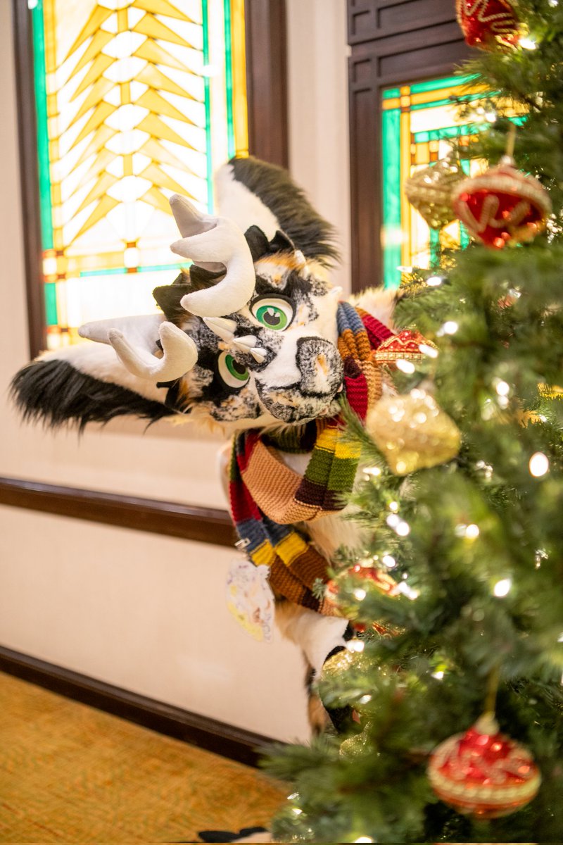 Grahaminism's tweet photo. Happy Holidays, and happy #skyprosunday to everyone!! 💚

Suit by @Skyprocostumes 
Picture by @ImBlyze https://t.co/kUnbd157bd