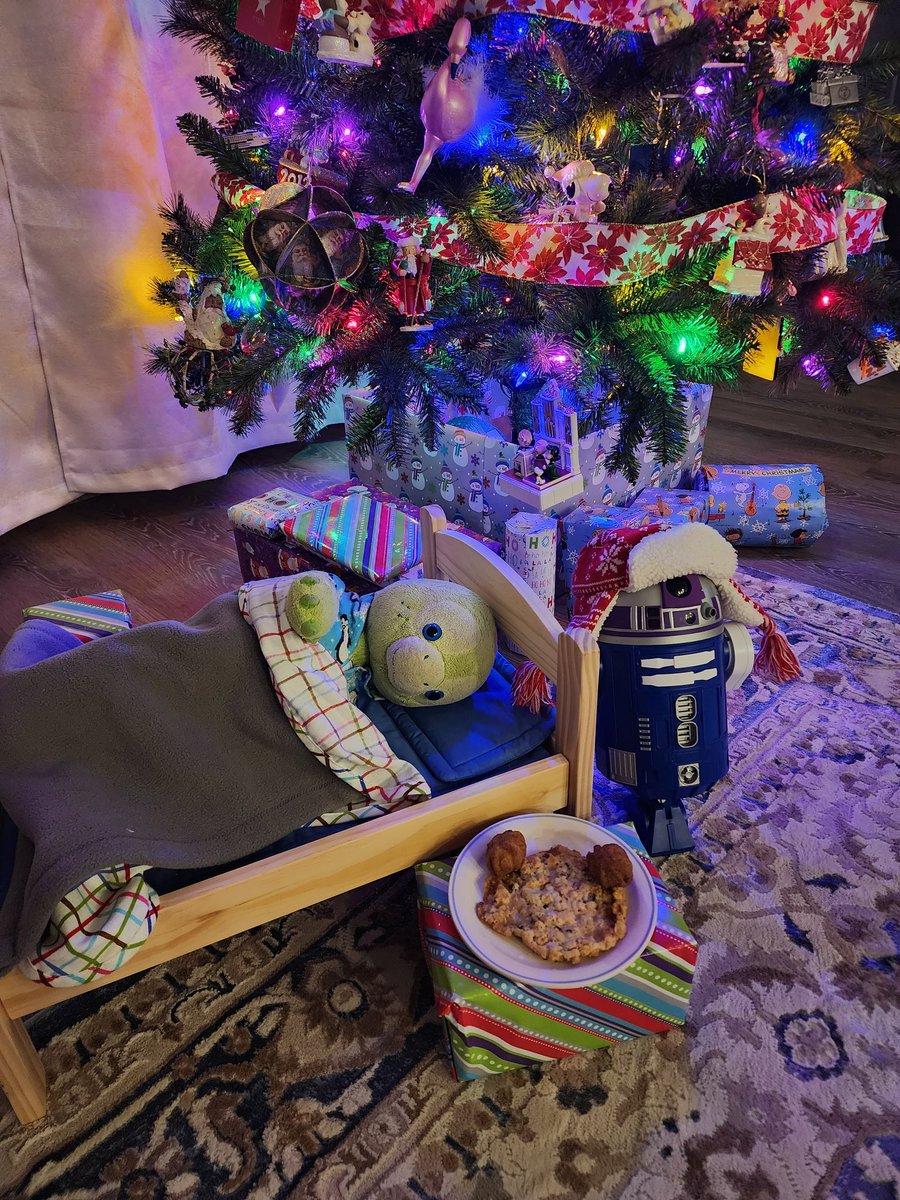 R7 and I decided to sleep under the tree tonight to make sure we don't miss Santa!! We have his cookies all set for him!!