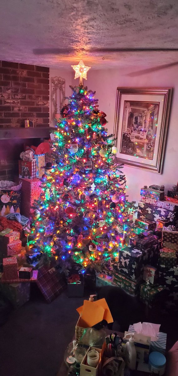 Merry Christmas from my family to yours! Excited to watch everyone open gifts!😁