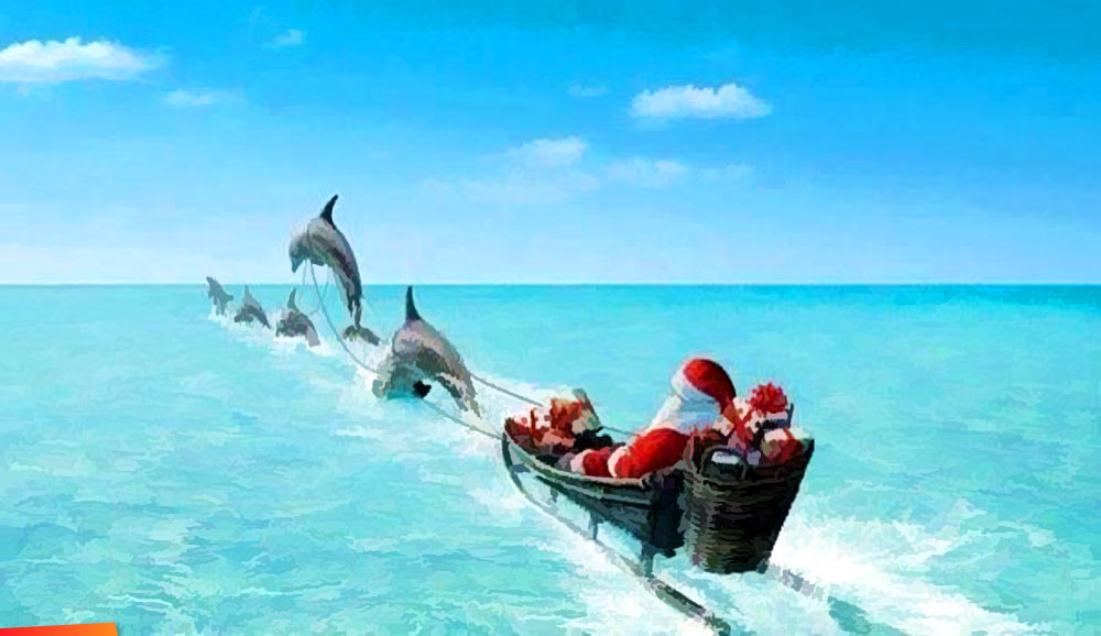 Bada_bing3's tweet image. @rkmeeks72 #MerryChristmas to you #Mermy!!🎅🎄🧜‍♀️🐬