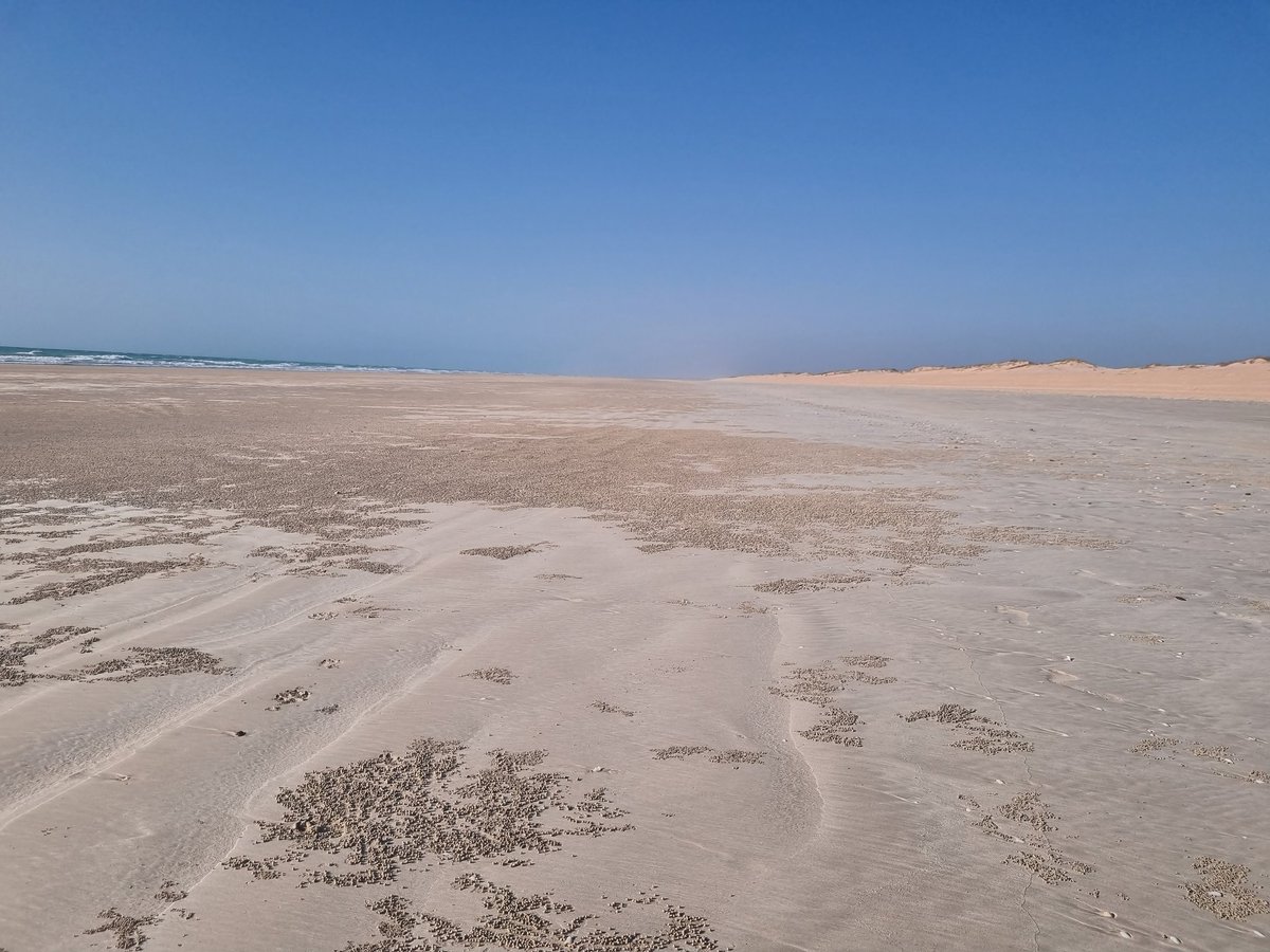 PeoplesAlert1's tweet photo. @CricketSimpsons It's a bit cooler in Broome today, 32 feels like 33.2. Think I might play cricket 🏏 on #CableBeach https://t.co/ZOhnghq6YV