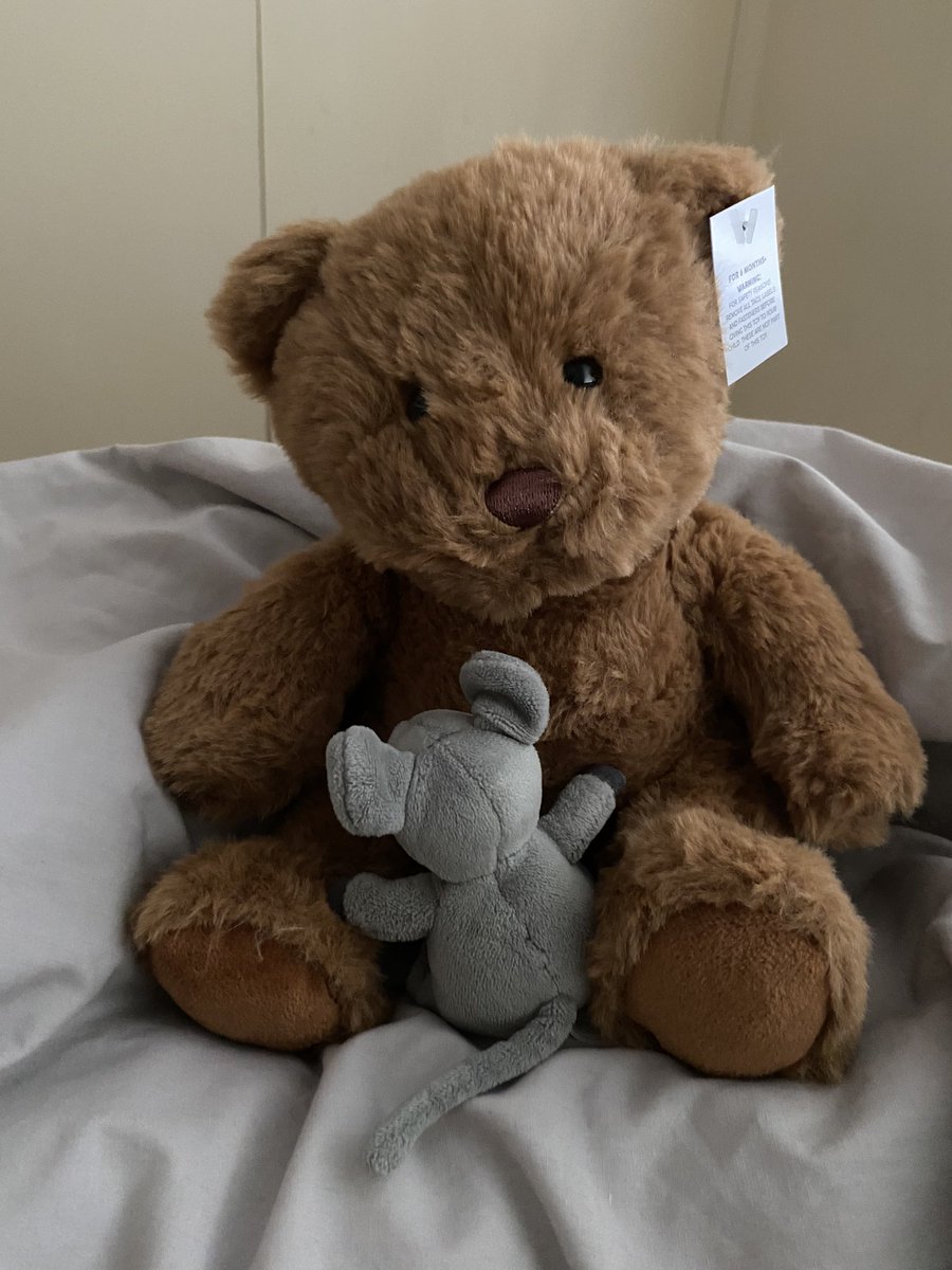 Ich habe einen großen Bruder bekommt 😭❤️ Dankeschön Onkel David und Tante Jo! 
🎄🎁🐭🐻