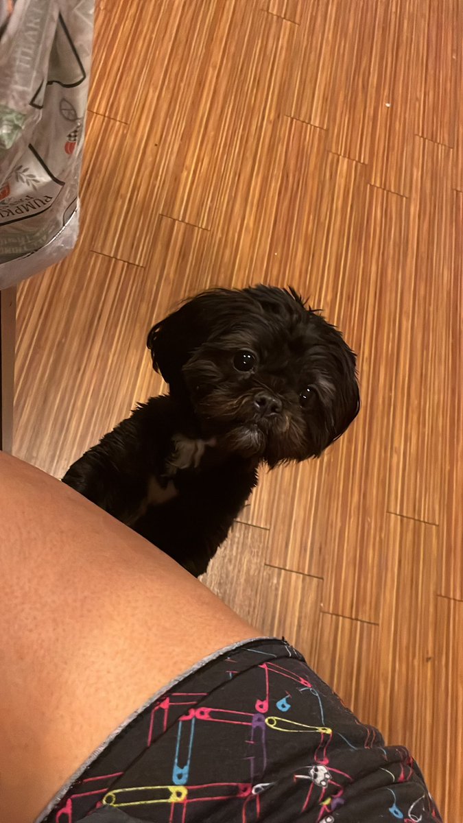 kayydiorr___'s tweet photo. her the whole time i’m eating: https://t.co/SNalv3sNT1
