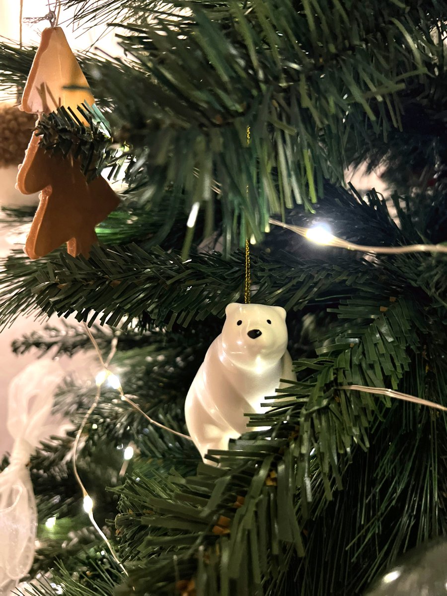 diego_good's tweet photo. 🌲🎅 cute merry christmas .Happy holidays from all of Santa's  and Mom ! 🙆‍🎅🌲Tonight is christmas and  party for me!😅 https://t.co/1kB8iXVEKR