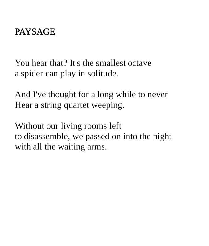 Will Davis tweet media