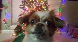 Watch Boogie2988's leaked NSFW photo on TwXstars