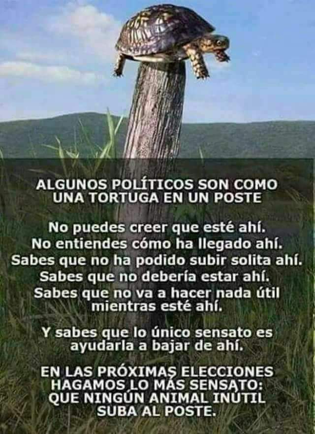 mariade76164528's tweet photo. @JJDiazMachuca Ni un voto para morena https://t.co/ljrm6Ra3Bi