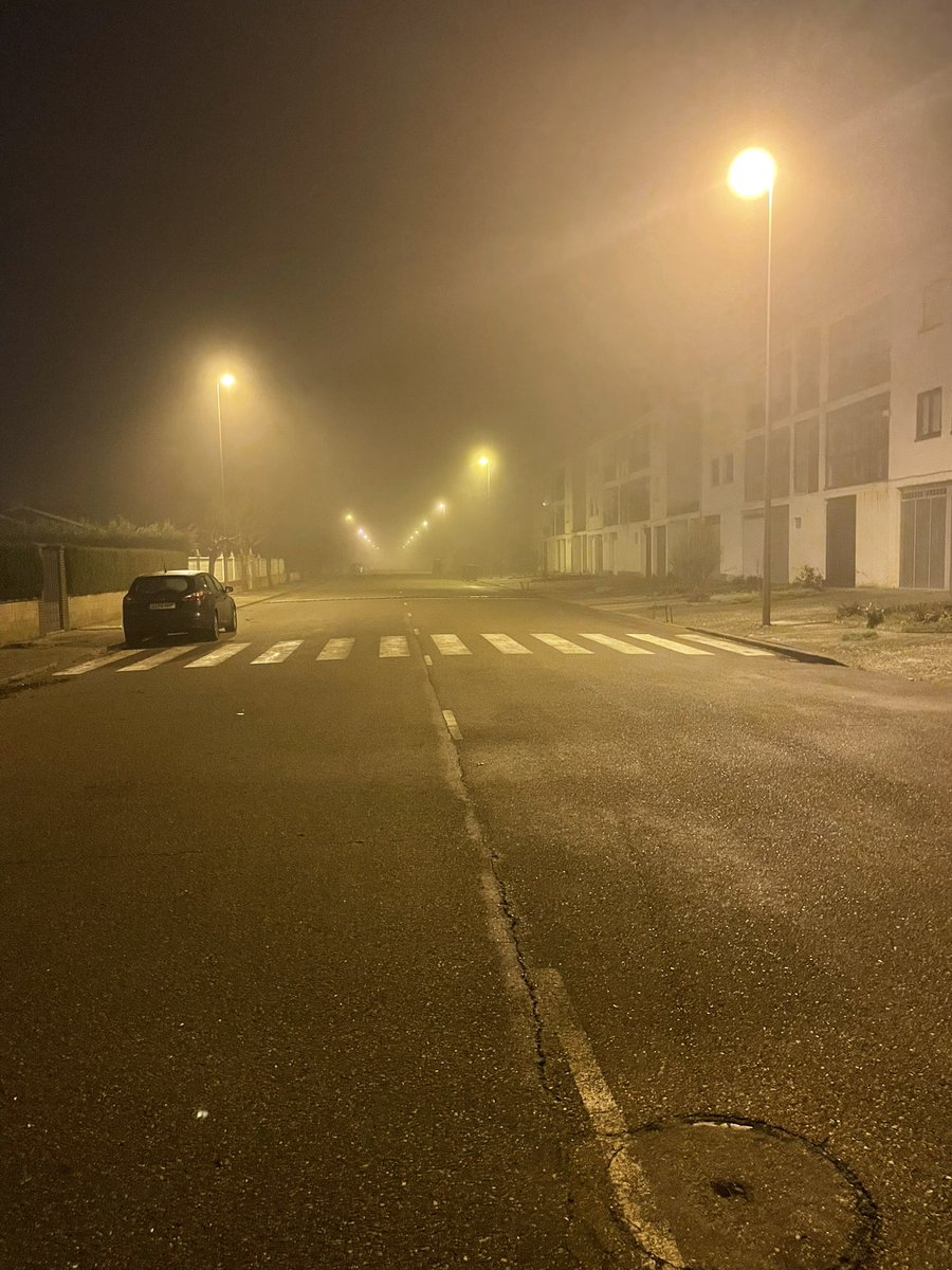 Camino Mortera tweet media