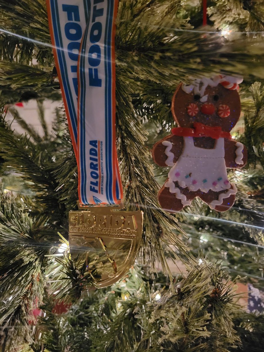 Spent the afternoon giving the Christmas tree a unique touch – State Championship medals taking center stage. Not your typical ornaments, but each one tells a story of hard work and victory. Happy Holidays &amp; Feliz Navidad!!! #HolidayMemories #TigerPride  #ChristmasDecor
