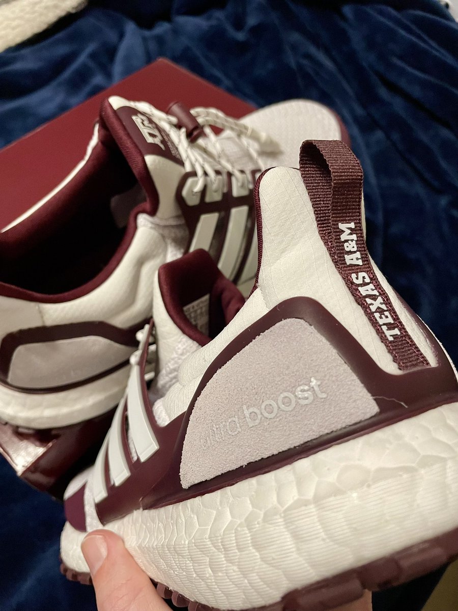 Robert Behrens tweet media