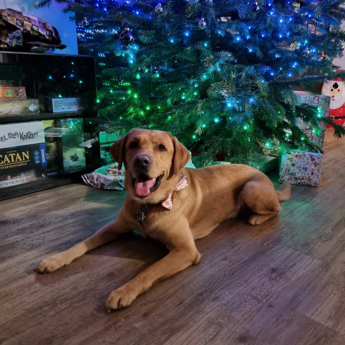 EurohellDesign's tweet image. Merry Christmas to you from Holger, Dani and Nodin from Eurohell Design🎅 We are enjoying the wonderful, playful time with our families and are treating ourselves to a little break❤️

We hope you also have a festive, relaxing time!

 #EurohellDesign #Boardgames