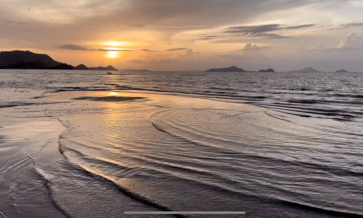 Shih-ta Chu (@chu237256) on Twitter photo 