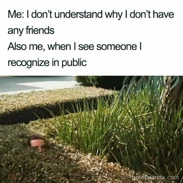 introvertsmemes's tweet image.