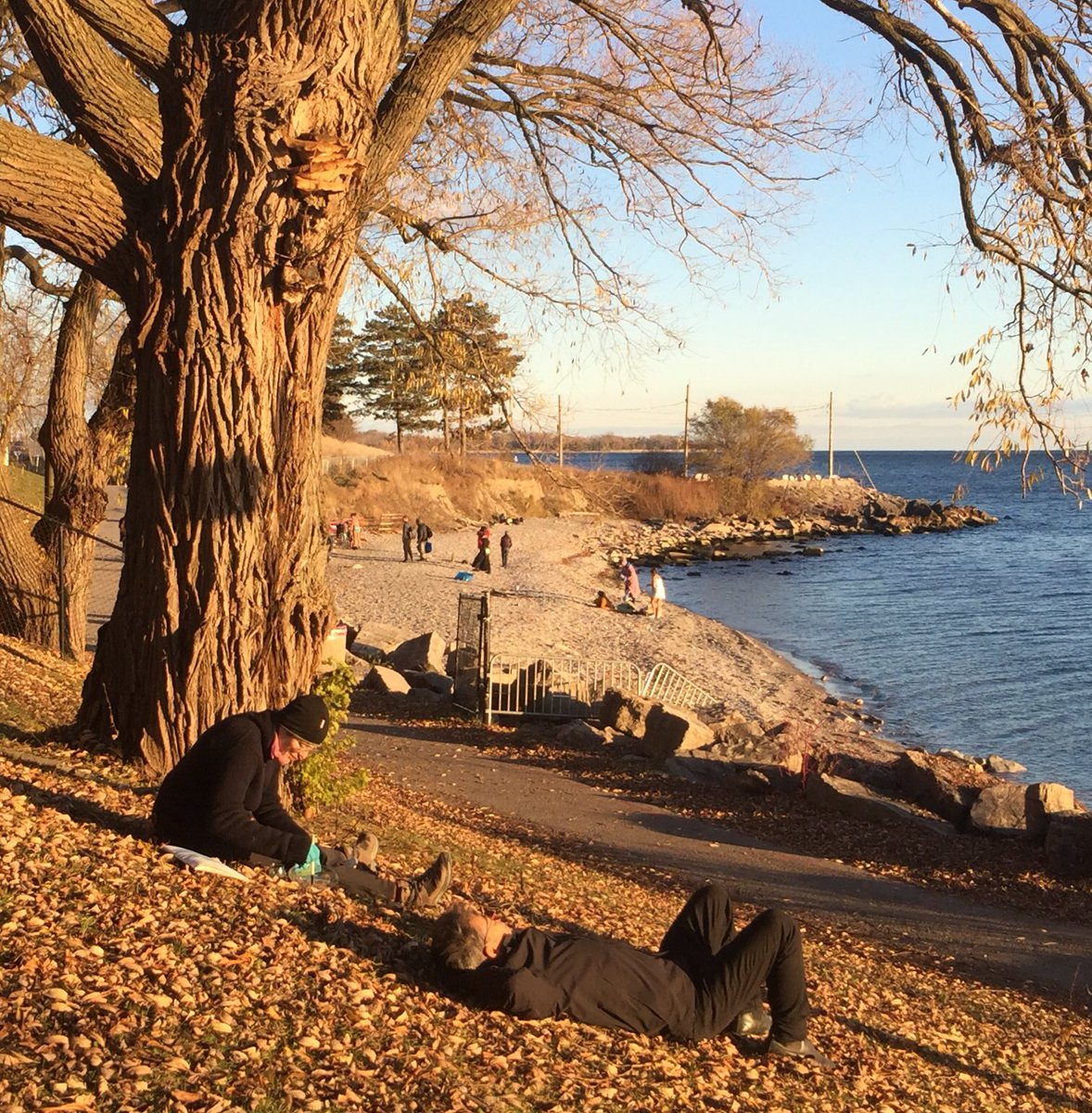 parkityparkdale's tweet photo. All I want for Christmas is for everyone in Ontario to call their MPPs and say NO to bulldozing Ontario Place West Island to build a giant spa. Save these trees and save Ont taxpayers’ money, by relocating or cancelling Ford’s misguided spa project. https://t.co/JycnzWB8lt
