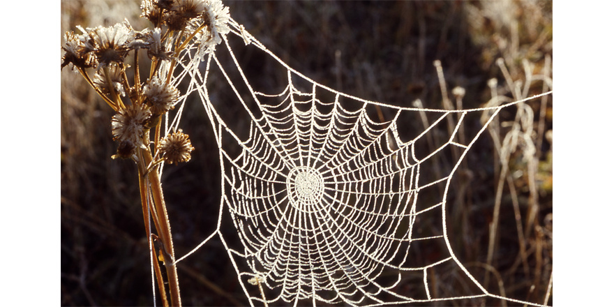 rickbrenner's tweet image. The term “virtual team” is in wide use, but what does it really mean? A #VirtualTeam works to achieve interdependent goals. Its members are so widely separated that meeting face-to-face is impractical, so they “meet” using communications technology. ChacoCanyon.com/pointlookout/2…