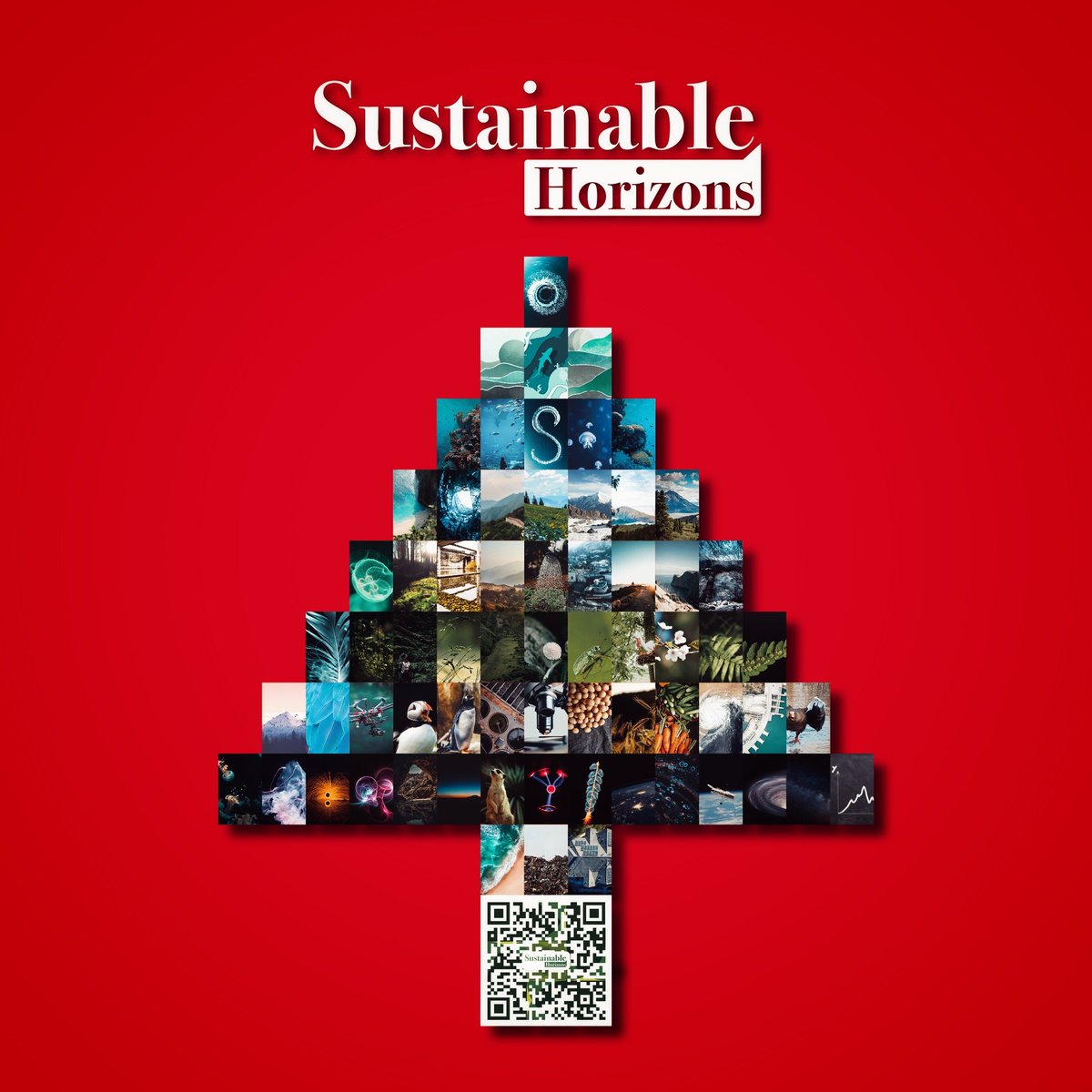 Sushorizons's tweet photo. Wishing you a Merry Christmas and a Happy New Year from Sustainable Horizons! Thanks for all your support throughout the year. We look forward to working with you in the next year to bulid a #sustainable future. https://t.co/ytzyYclZTt
