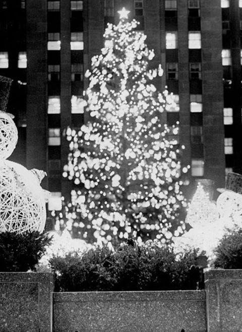 mo__yosore's tweet photo. Wishing you all the good things that Christmas brings.

MERRY CHRISTMAS 🎄 https://t.co/Sg6YV8af4r