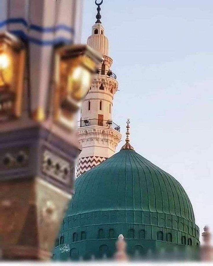 "السَّلامُ عَلى صاحِبِ السَّكينَةِ، السَّلامُ عَلَى الْمَدْفُونِ بِالْمَدينَةِ، السَّلامُ عَلَى الْمَنْصُورِ الْمُؤَيَّدِ، السَّلامُ عَلى اَبِي الْقاسِمِ مُحَمَّدِ بْنِ عَبْدِاللهِ وَرَحْمَةُ اللهِ وَبَرَكاتُهُ"
#اللهم_صل_على_محمد_وآل_محمد
#صباح_الخير 🌾 🌿 🌷